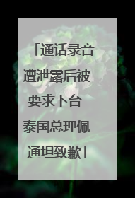 通话录音遭泄露后被要求下台 泰国总理佩通坦致歉